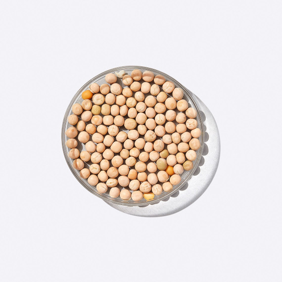 PDP-EP-Ingredients-Pea-Protein