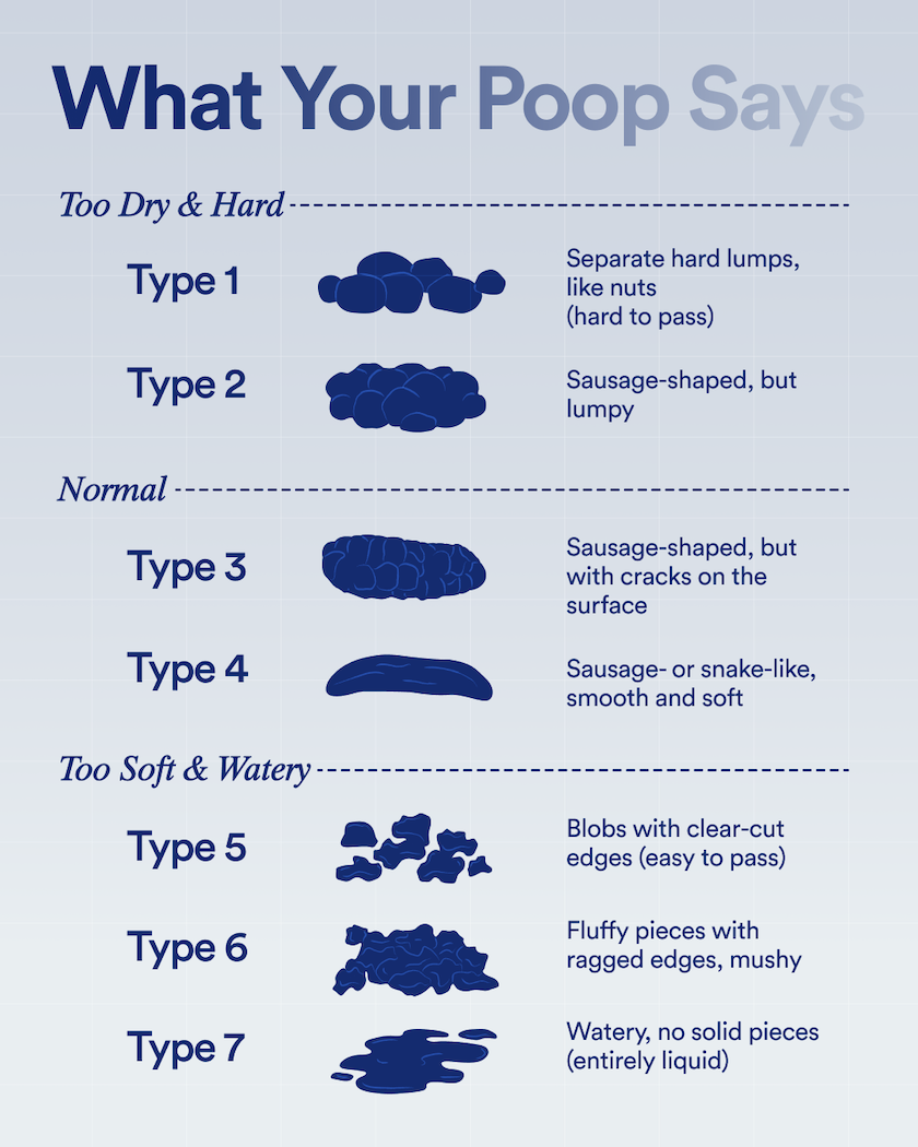 Bristol Stool Chart - Bristol Stool Form Scale - Ritual